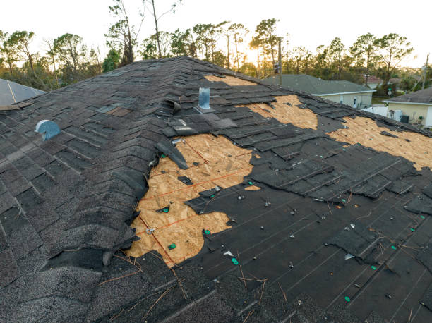 Fast & Reliable Emergency Roof Repairs in Beulah, ND